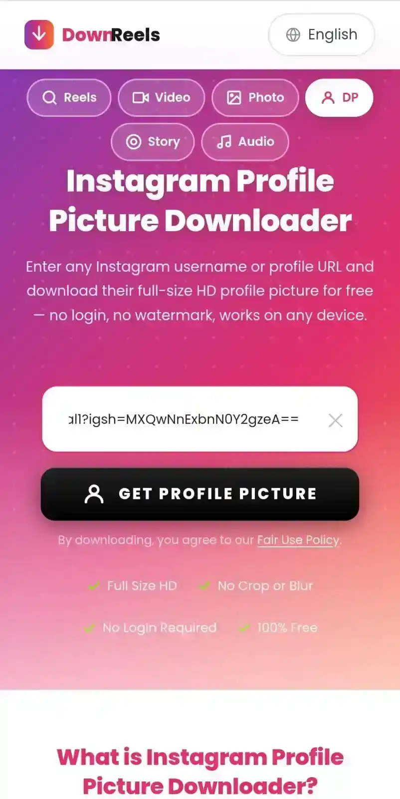 Step 2 — Phone screen showing Instagram username typed into Download Any profile picture downloader