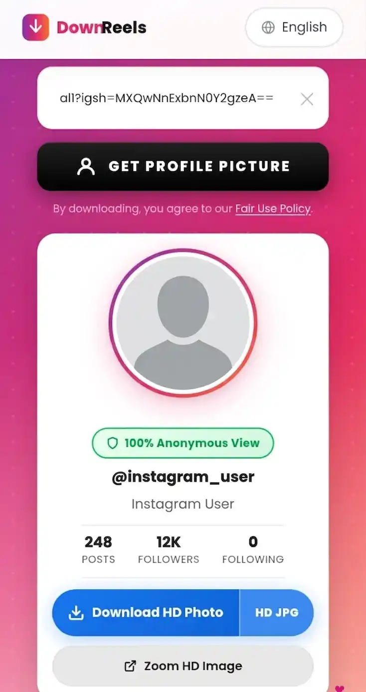 Step 3 — Download Any showing Instagram profile picture result with Download HD Photo button