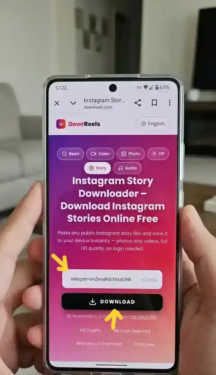 Step 2 - Paste Instagram Story link on Download Any